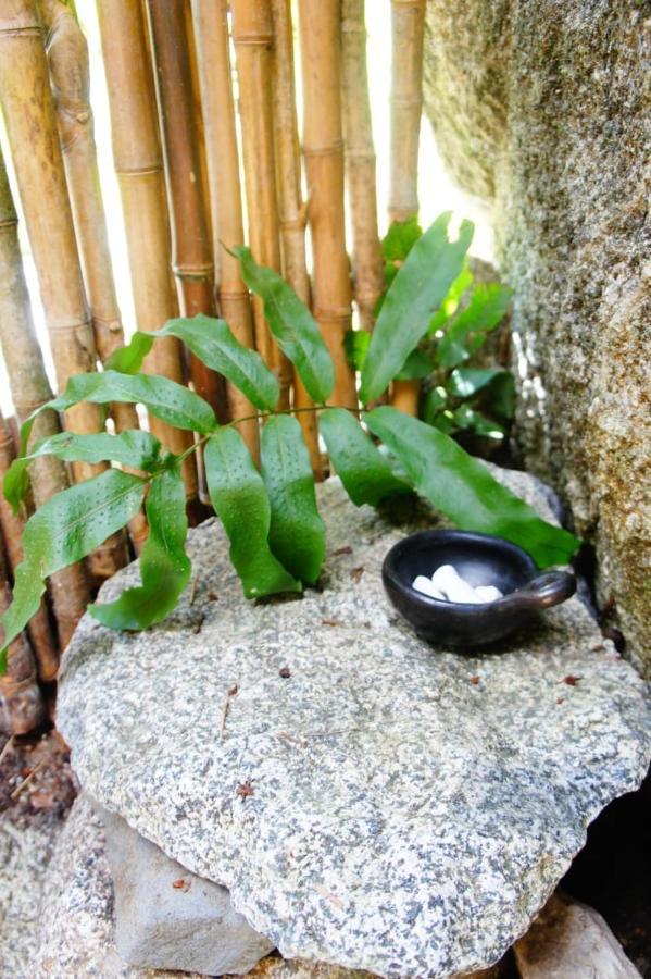 קוקורנה Ecofinca Fuente Alegre מראה חיצוני תמונה